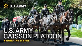 Army Behind the Scenes U S Army Caisson Platoon U S Army