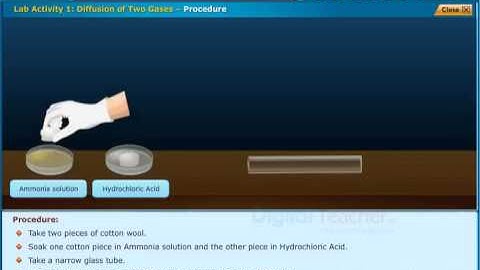 Lab Activity 1 Diffusion of Two Gases, Class 9 Physics | Smart Class
