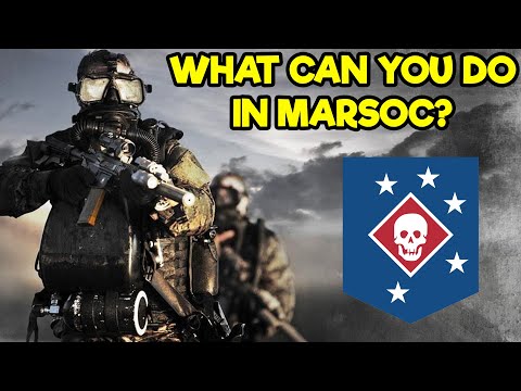 WHAT ARE THE DIFFERENT JOBS OF MARINE RAIDERS? (MARSOC)