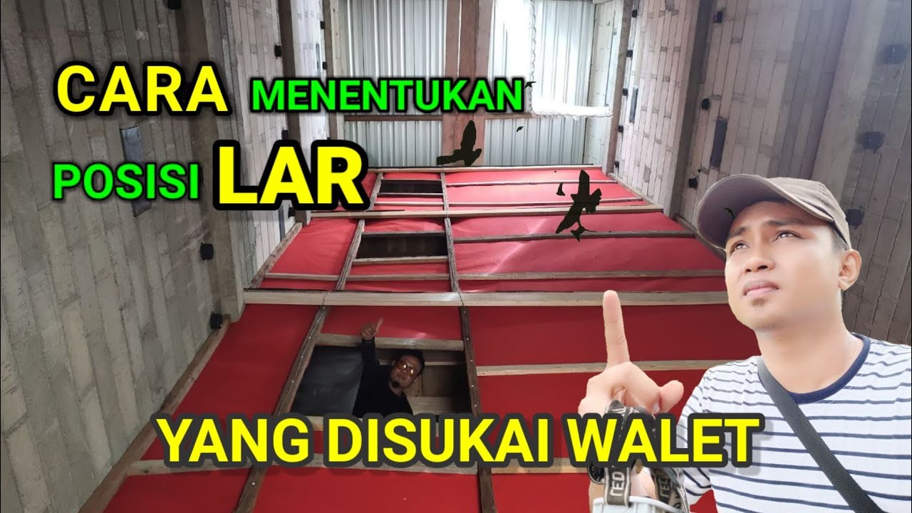 Cara menentukan Posisi LAR yang benar, Agar burung lebih nyaman bermanuver ke ruang inap.👍