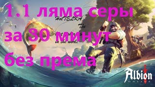 Albion Online рыбалка в 2025 году или как заработать серебро в Альбионе