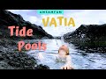 Vatia tide pools  lower sauma ridge trail in the national park of american samoa  starkist cannery