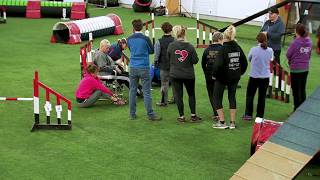 International Agility Training Week -  Explaining the three C's, part 2 - preview