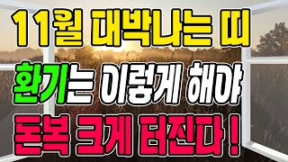 11월 대박나는 띠 ㅣ 환기는 이렇게 해줘야 돈복 크게 터진다 (돈복 터지는 생활풍수)