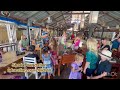 Worldschooling our children in thailand  marine and shark preservation