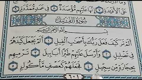 سورة الفيل مكررة القارئ عبدالمجيد والطالب بكر/ ارح سمعك.. تلاوة هادئة تريح القلب والعقل💙🎧 💙