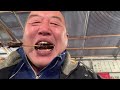 高田の夜桜に行って見た。日本三大夜桜の一つだそうです。🌸🌸🌸