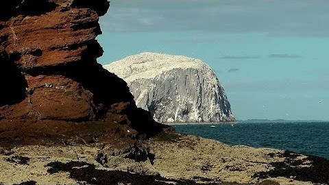 The Unconformity Project (2016)