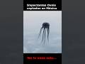 Ovnis captados en México #paranormal #aterrador #horror #terrorymisterio #miedo #demonios