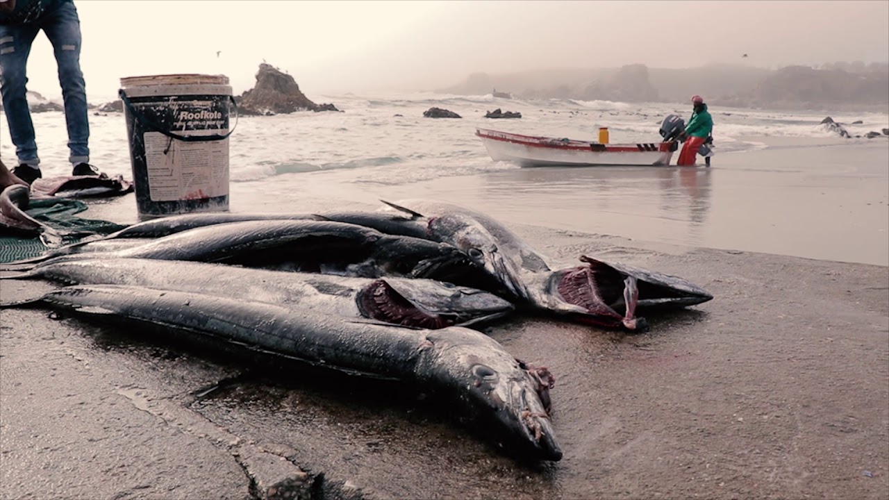 Road trip. sharingbox