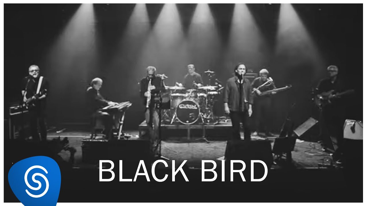 Banda Zil - Blackbird | Ao Vivo (Vídeo Oficial) - YouTube