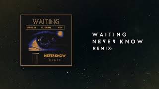 Download Lagu Skrillex, RL Grime, What So Not - Waiting (Never Know Remix) MP3
