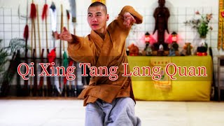 Qi Xing Tang Lang Quan - Seven Star Praying Mantis. Training with Shifu Shi Yanti.