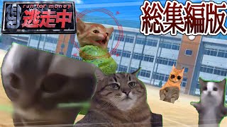 猫ミーム版逃走中 総集編版【猫ミーム】【猫マニ】