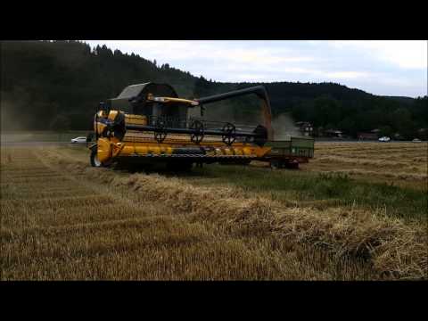 Weizen Dreschen 2015