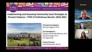 Implementing & Assessing Community Level Strategies to Prevent Violence - YVPC-D Preliminary Results