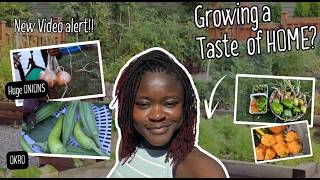 Growing African Crops in a COLD Climate| My Backyard Garden Journey!