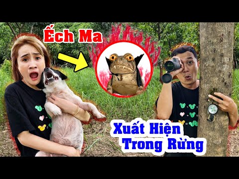 Video: 13 sự biến đổi của chó ẩn náu sẽ khiến bạn tin vào phép lạ