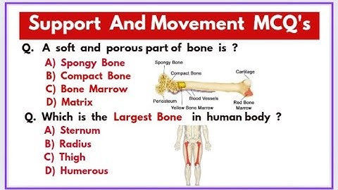 support and movement mcqs |biology mcqs ||support and movement  mcqs for all competitive  exams