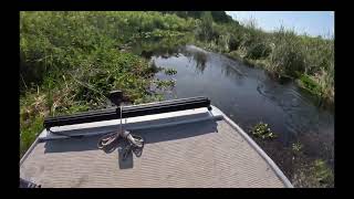 Airboat ride on the Ocklawaha River - Hog Valley to the Eureka bridge