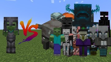 Zombie in Netherite Armor vs All Minecraft Mobs