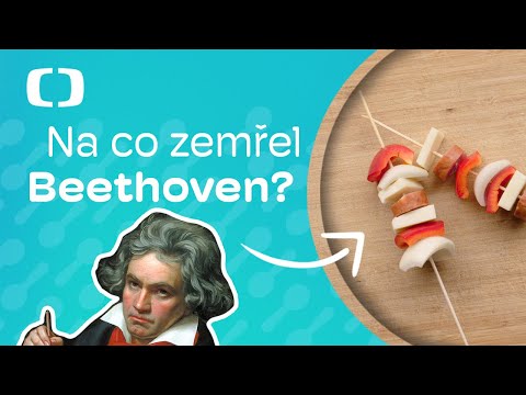 Video: Kdo je zodpovědný za objev DNA?