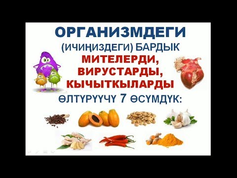 Video: Өсүмдүк кандай организмге окшош?