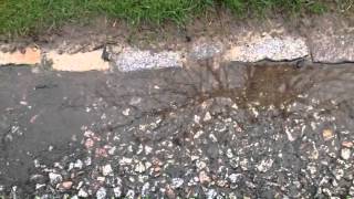 Priceless gems Extreme puddle jumping (mocumentary)