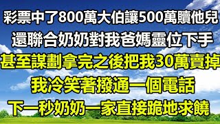 彩票中了800萬大伯讓500萬贖他兒還聯合奶奶對我爸媽靈位下手甚至謀劃拿完之後把我30萬賣掉我冷笑著撥通一個電話下一秒奶奶一家直接跪地求饒#橙子的小说