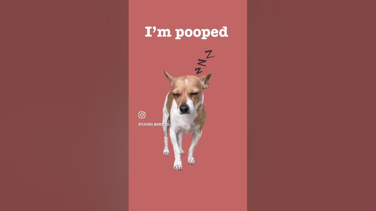 i-m-tired-slang-learn-english-youtube