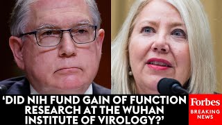 Debbie Lesko Grills NIH Official On Gain Of Function Research At The Wuhan Institute Of Virology
