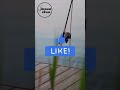 Mengapa kamu suka memancing Pilih alasan favoritmu