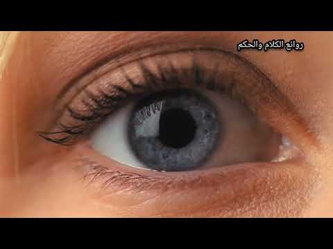 قيس بن الملوح مجنون ليلى القاء ابو وضاح اليمن الشعر العربي الفصيح العصر الأموي