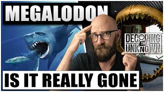 Megalodon: Does it Still Roam the Oceans?