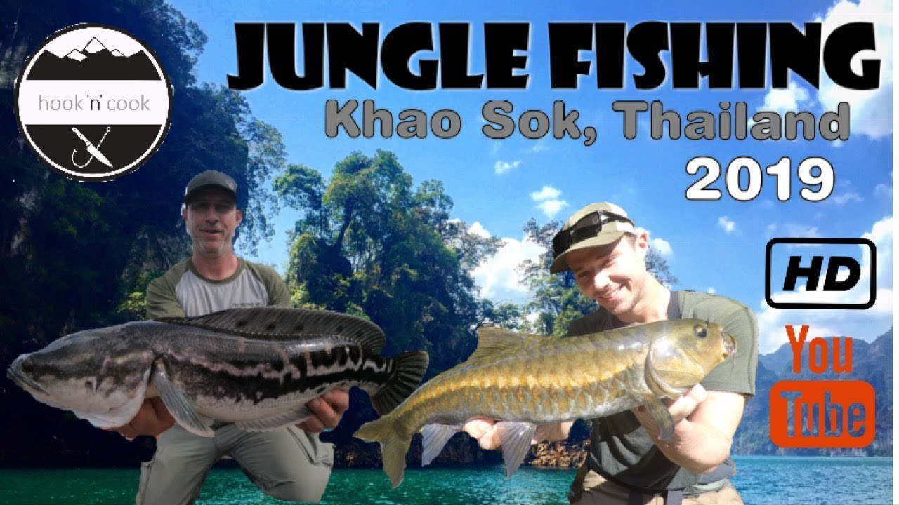 Jungle Fishing Khao Sok Thailand 2019