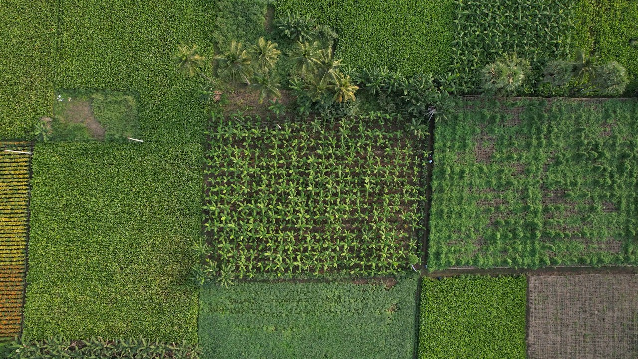 Natural Farming Network Event at Visakhapatnam