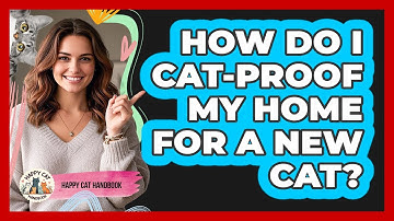 How Do I Cat-Proof My Home For A New Cat?