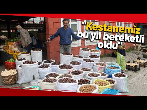 Pazarda Kestane Ve Mantar Bolluğu