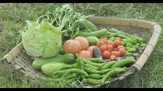 Sustainable agriculture “Natural Farming” Yoshikazu Kawaguchi