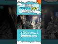 ひなた坂ライブ舞台裏🎤 #shorts #日向坂ちゃんねる #日向坂46 #ひなた坂46