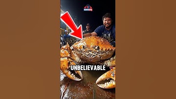Crabs Bigger Than Cars?! #facts #animalfacts #wildlife