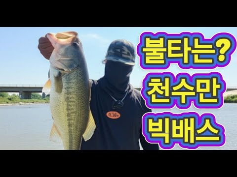 #수로낚시 #배스포인트#bassfishing  #lurefishing