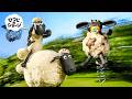 ピョンピョン・ティミー 🐑💥🚀 | ひつじのショーン 公式チャンネル