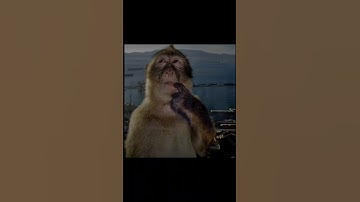 when I try to sleep #coding #codingmeme #meme #memes #programmingmeme #codingmemes