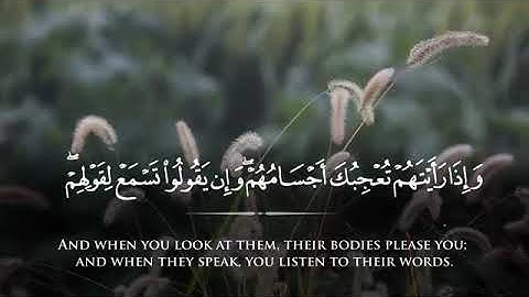 Surah al Munafiqun   Taraweeh 2015   1437 Fahad Aziz Niazi سورة المنافقون   القارئ فهد عزيز نيازي