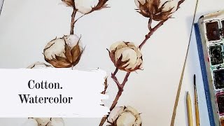 Cotton. Watercolor