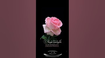 صباح الخير 🌸 حالات واتس اب مقاطع قصيره🌸قران كريم سورة المعارج فاصبر صبرا جميلا🌸اسلام صبحي بدون حقوق
