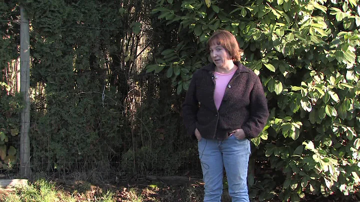 Gardening Tips & Tricks : How to Create Yard Privacy With Plants