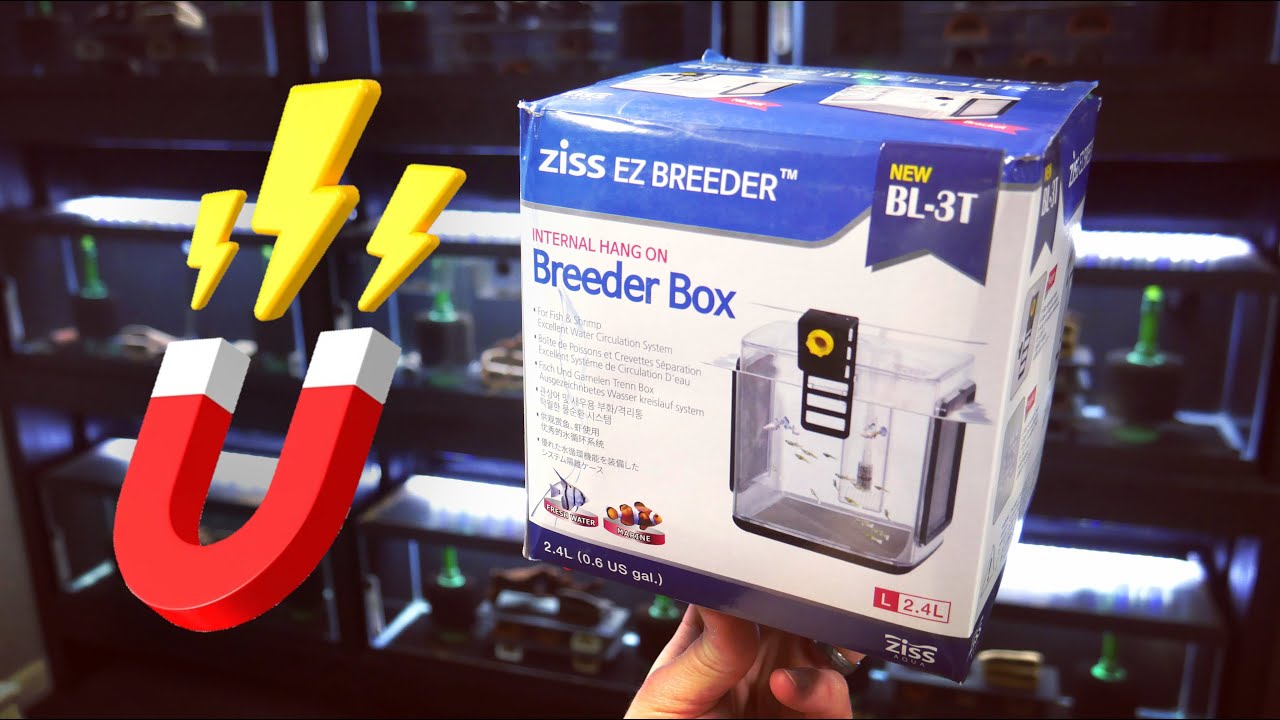 Upgrading Ziss Breeder Boxes with Magnets - YouTube