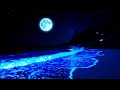 Sleep Music No Ads • Listening For 3 Minutes, Fall Into Deep Sleep • Remove Insomnia Forever